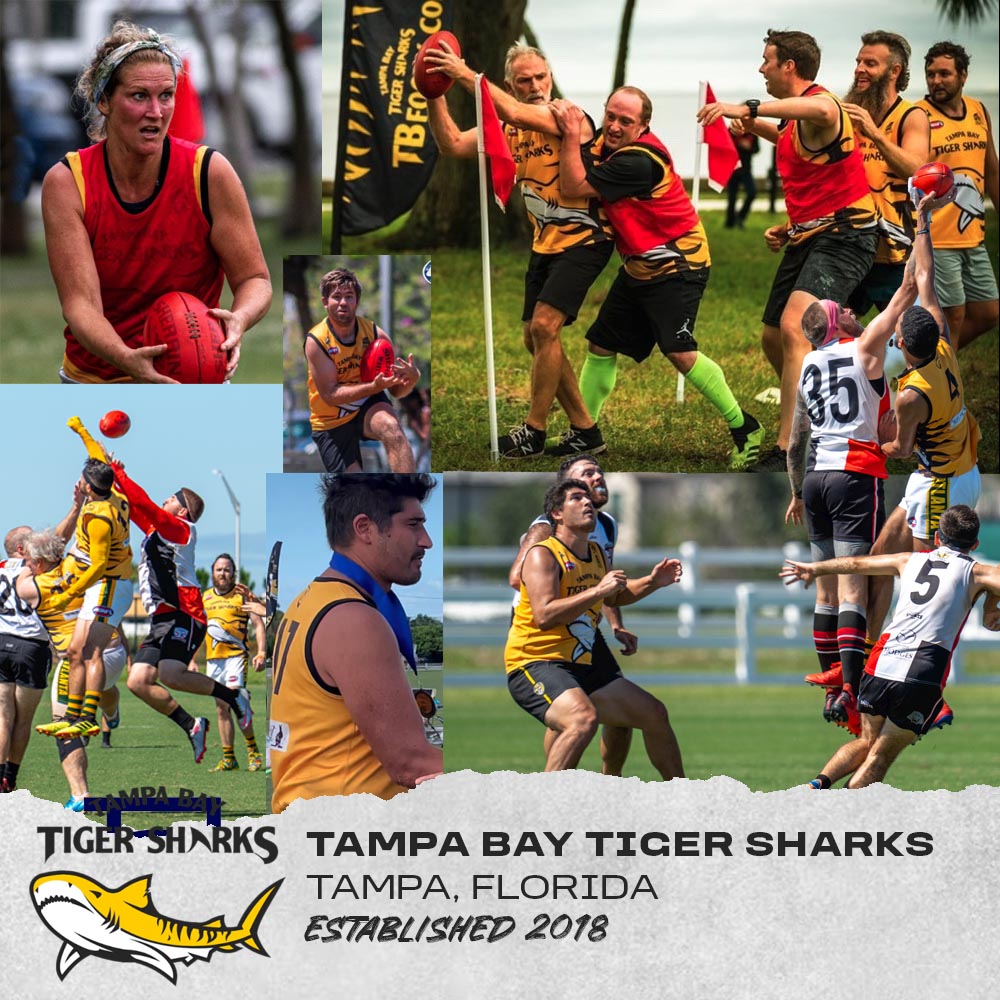 Tiger Sharks gameplay action collage
